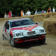 Illustration for article titled Tons Of Classic Rally Cars? Tons Of Classic Rally Cars!